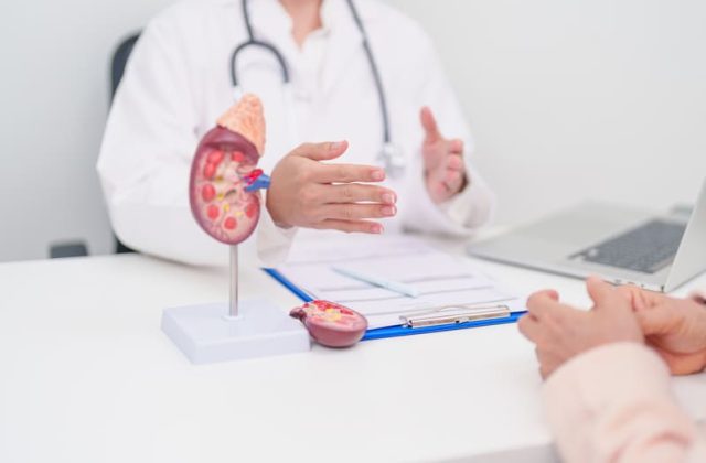 medic discuta cu pacientul despre rinichi